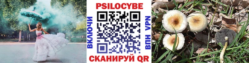 хочу   Межгорье  Галлюциногенные грибы MAGIC MUSHROOMS 